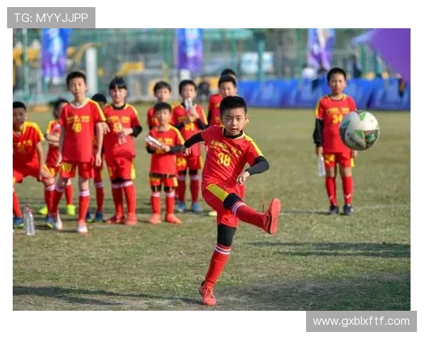 杭州羽毛球队意识争议引发热议球员表现与团队精神的深度探讨